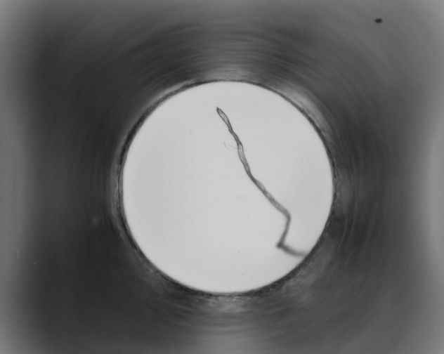 X0000088481000200706191403