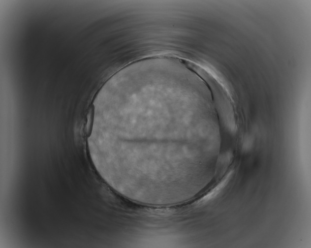 X0000088481001200706191403