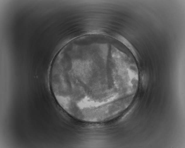 X0000088481002200706191403