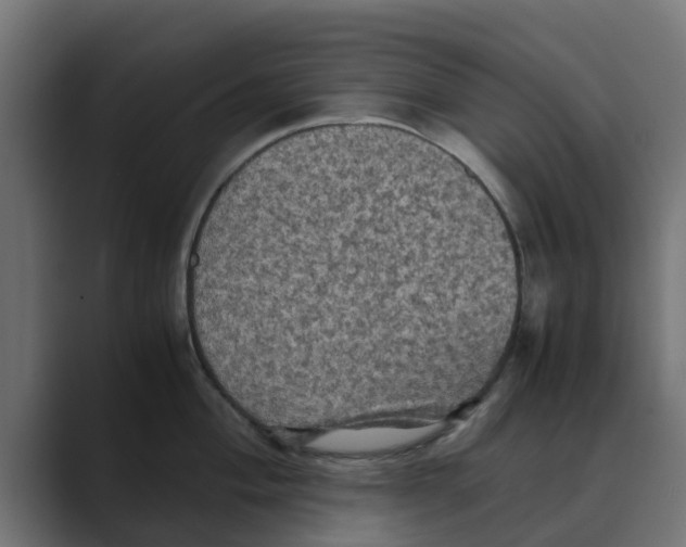 X0000088481004200706191403