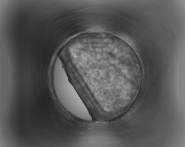 X0000088481008200706191403