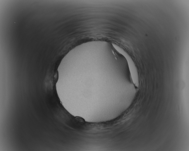 X0000088481012200706191403