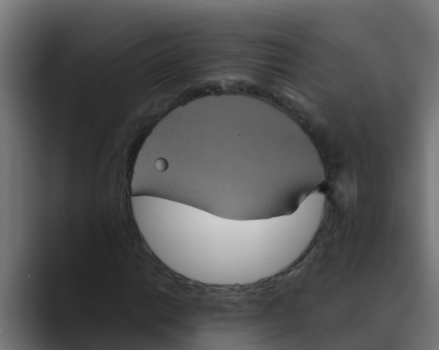 X0000088481014200706191403