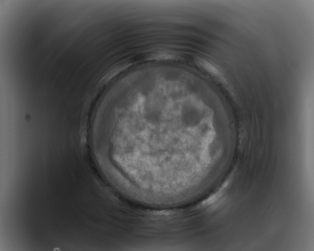 X0000088481017200706191403