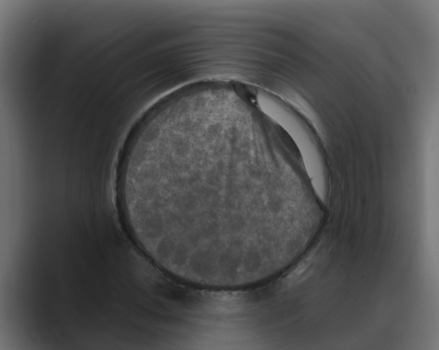 X0000088481020200706191403