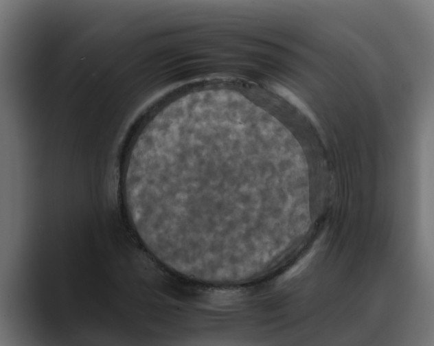 X0000088481021200706191403