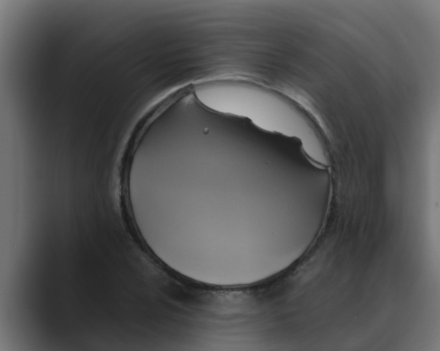 X0000088481024200706191403