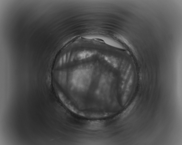 X0000088481025200706191403