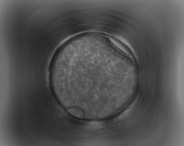 X0000088481029200706191403