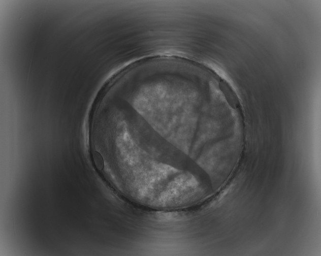 X0000088481032200706191403