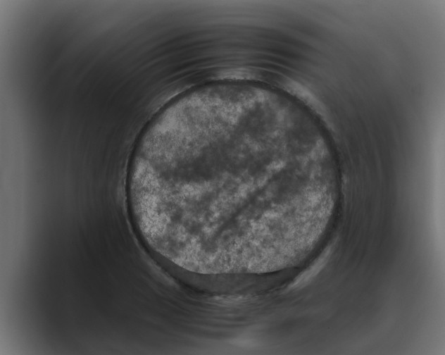 X0000088481033200706191403