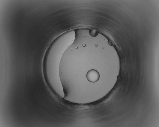 X0000088481034200706191403