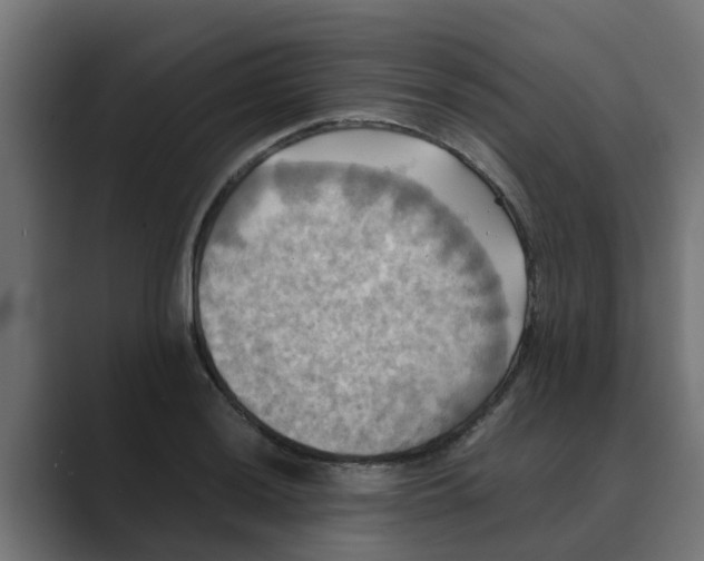 X0000088481036200706191403