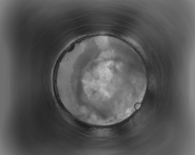 X0000088481039200706191403