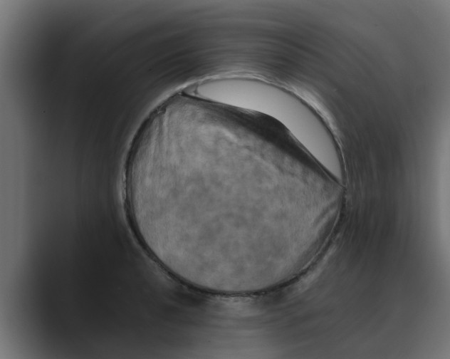 X0000088481040200706191403