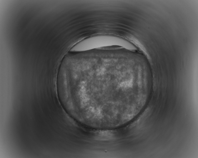 X0000088481041200706191403