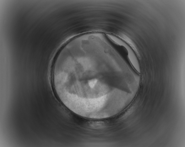 X0000088481043200706191403