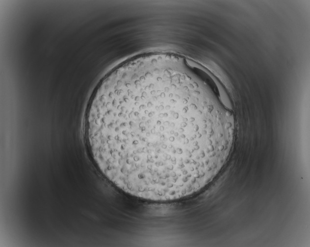 X0000088481044200706191403