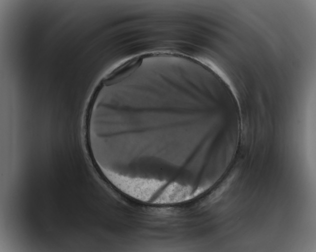 X0000088481045200706191403