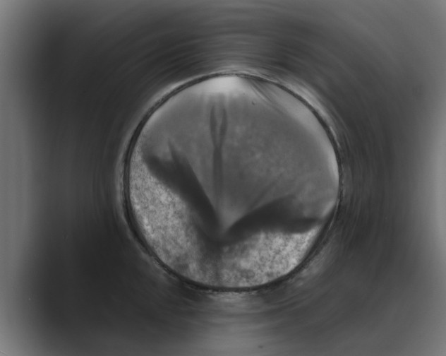 X0000088481048200706191403