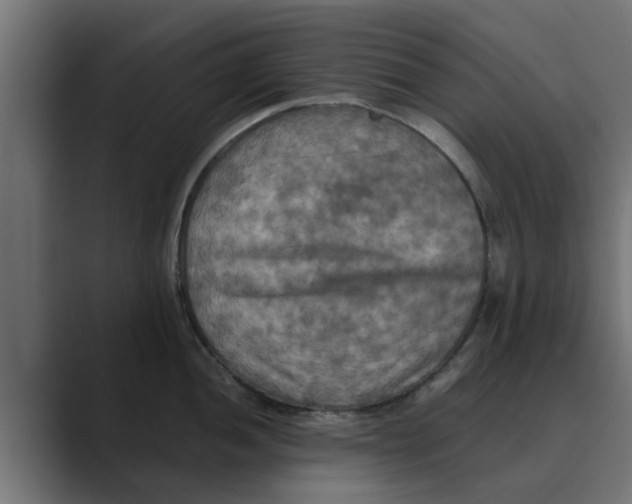 X0000088481052200706191403