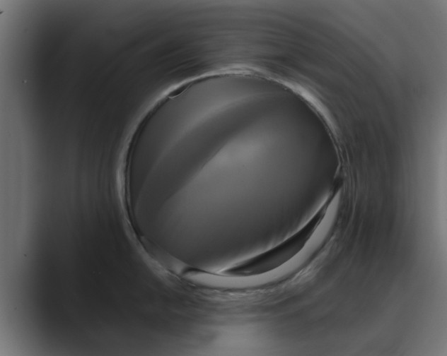 X0000088481054200706191403