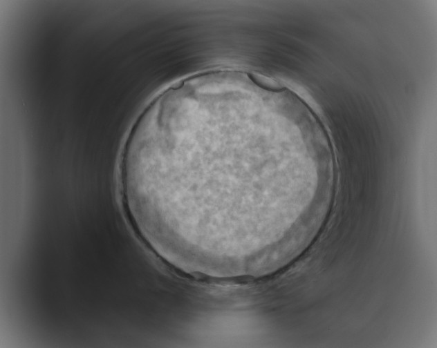 X0000088481056200706191403