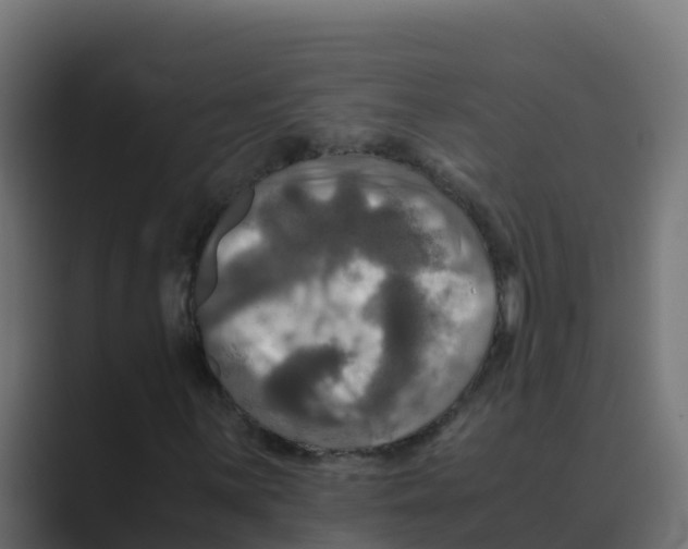 X0000088481059200706191402