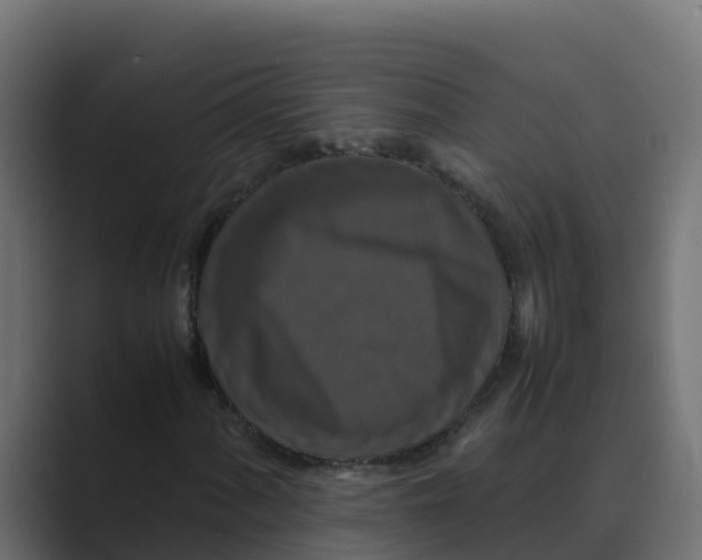 X0000088481060200706191402