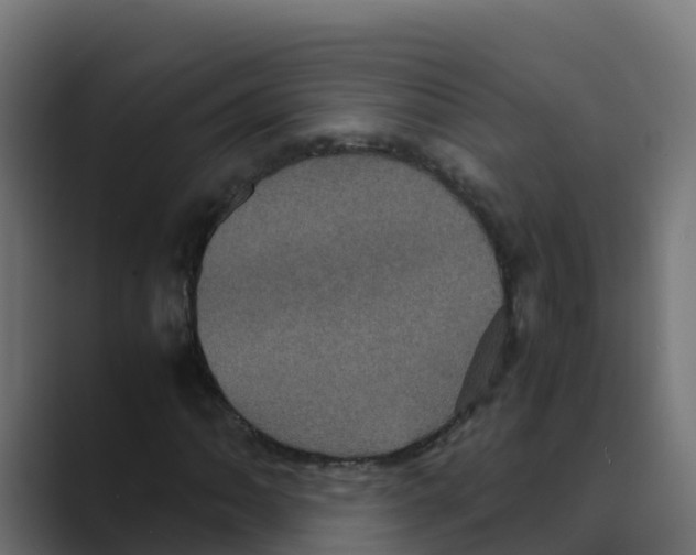 X0000088481062200706191402