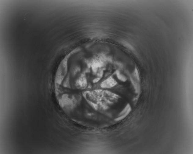 X0000088481063200706191402