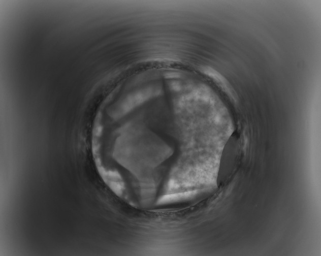 X0000088481064200706191402