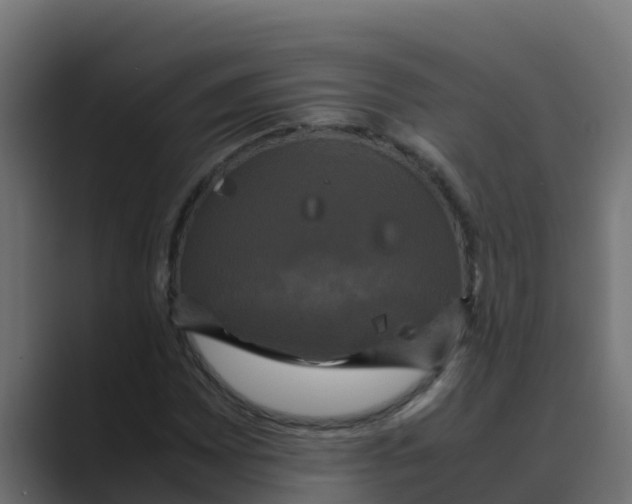 X0000088481065200706191402