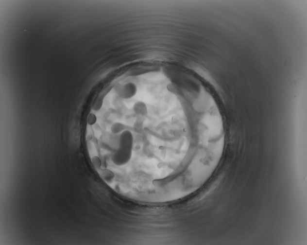 X0000088481067200706191402