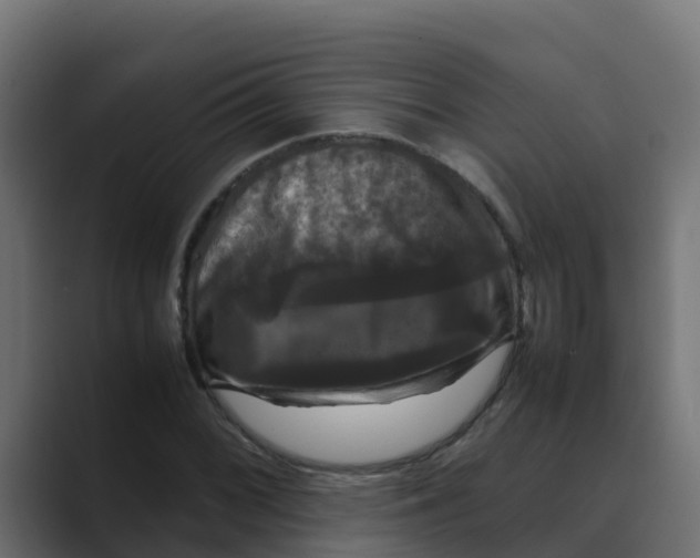 X0000088481068200706191402