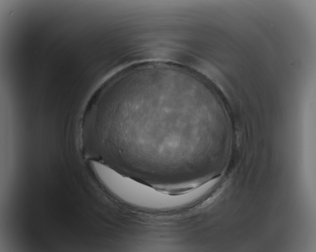 X0000088481069200706191402