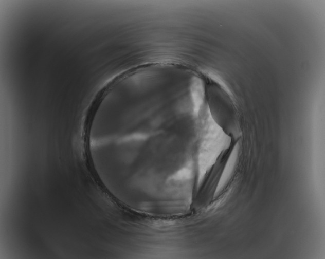 X0000088481071200706191402