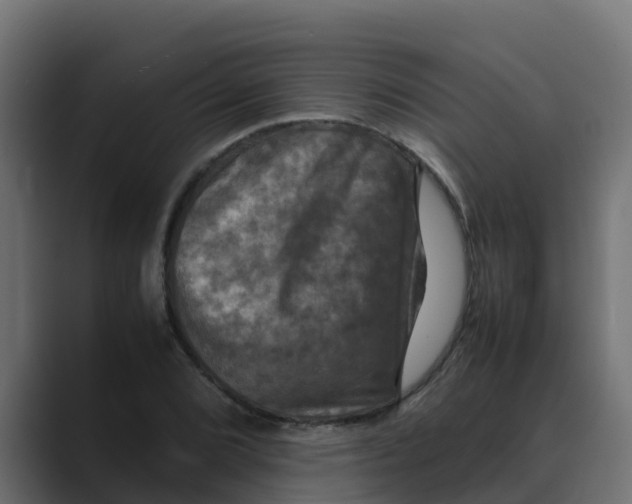 X0000088481072200706191402