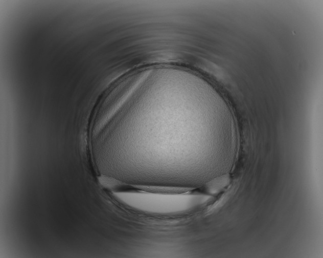 X0000088481073200706191402