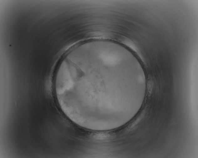 X0000088481074200706191402