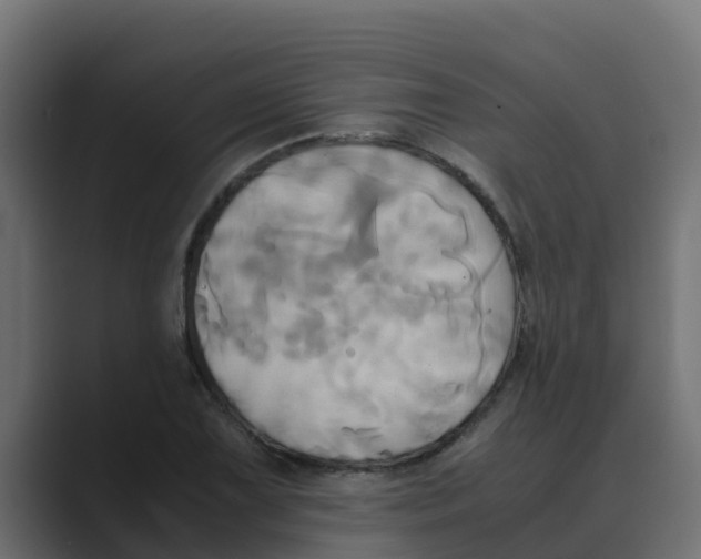 X0000088481075200706191402