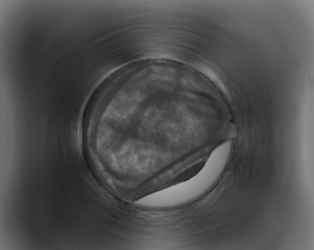 X0000088481076200706191402