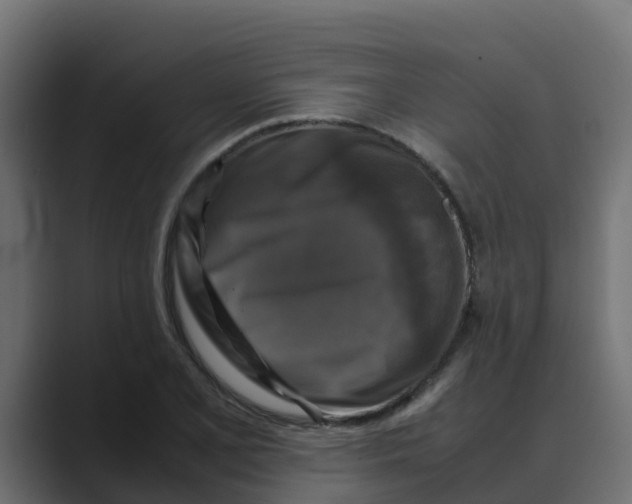 X0000088481077200706191402