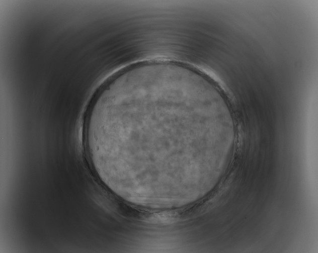 X0000088481078200706191402