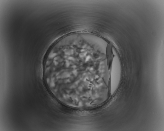 X0000088481079200706191402