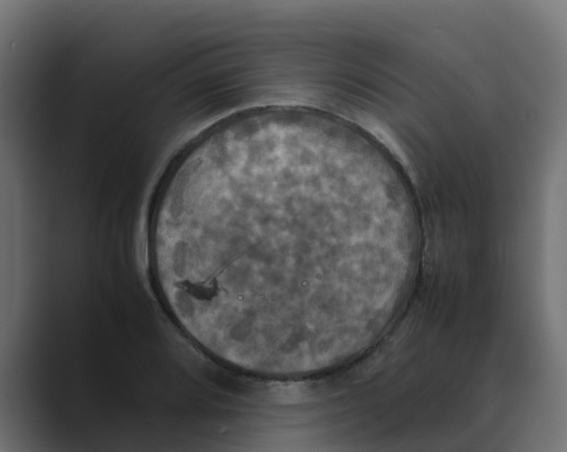 X0000088481080200706191402