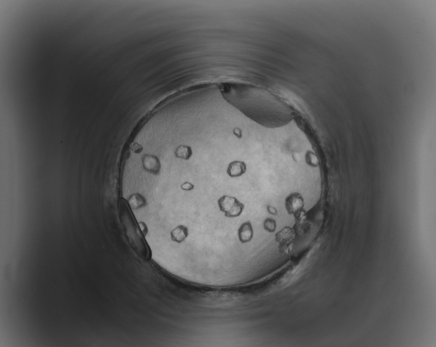 X0000088481081200706191402