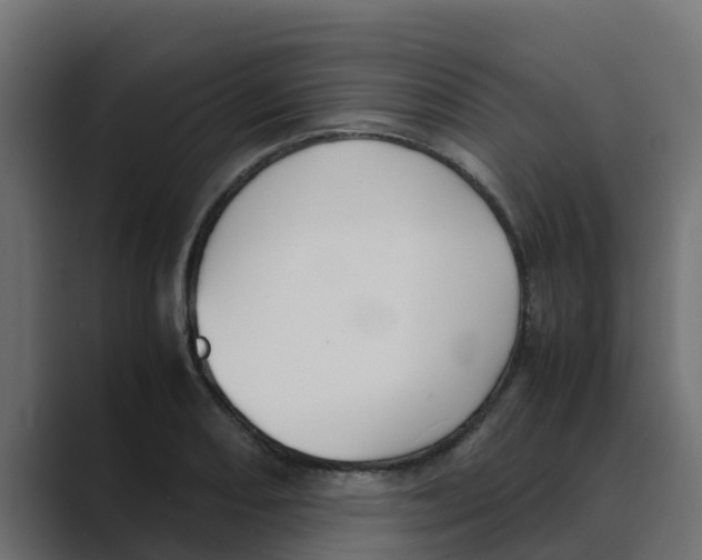 X0000088481082200706191402