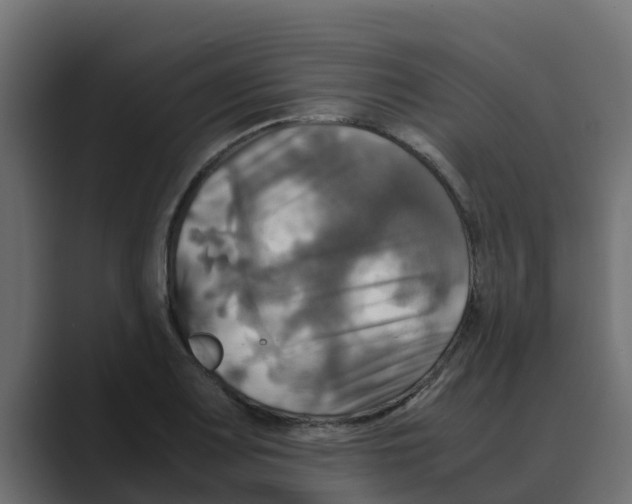 X0000088481083200706191402