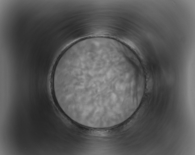 X0000088481086200706191402